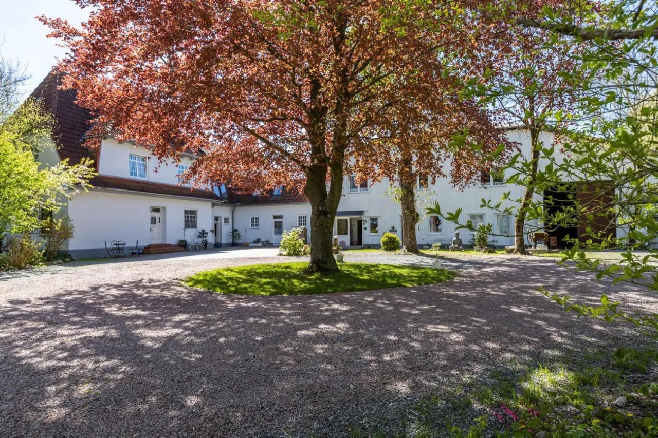 Denkerhof Apartment Bergkristall Reußenköge Eksteriør billede